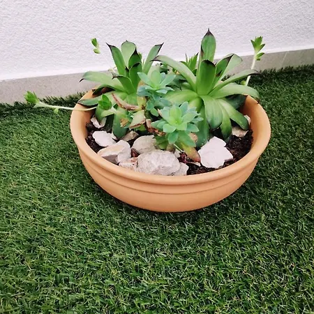 Διαμέρισμα White 5 Σπλιτ